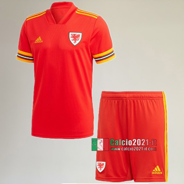 Originale Prima Maglia Nuova Del Galles Bambino UEFA Euro 2020 Personalizzate