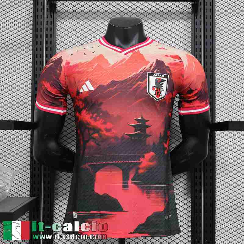 Maglia Calcio Giappone Edizione speciale Uomo 2024 TBB488