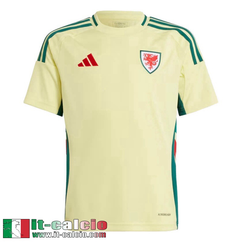 Galles Maglia Calcio Seconda Uomo 2024