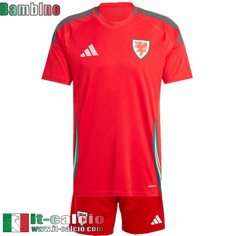 Galles Maglia Calcio Prima Bambini 2024