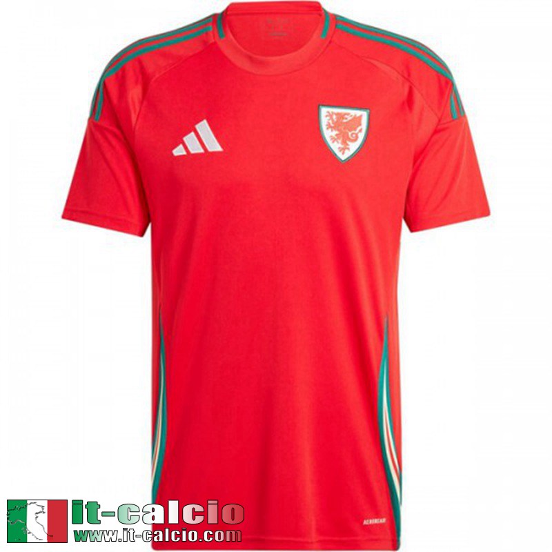 Galles Maglia Calcio Prima Uomo 2024