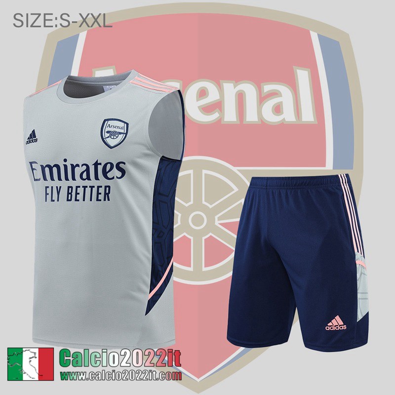 Arsenal Senza maniche grigio Uomo 2022 2023 PL503