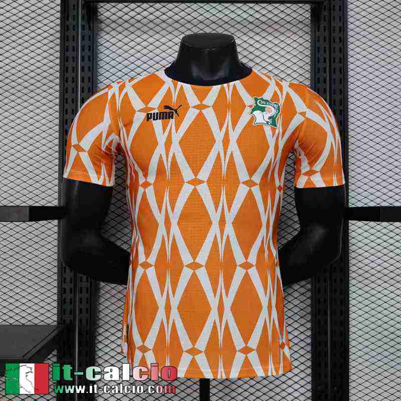 Ivory Coast Maglia Calcio Edizione speciale Uomo 2023 TBB213