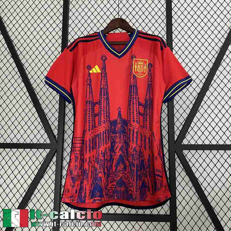 Spagna Maglia Calcio Edizione speciale Uomo 2023 TBB231