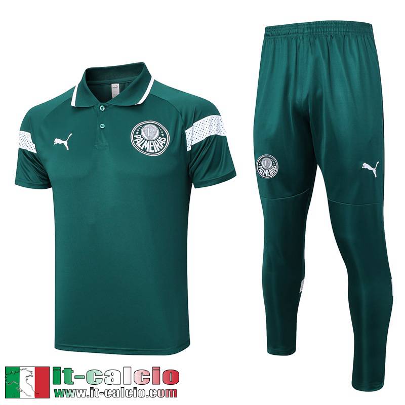 Palmeiras Polo Shirts Verde Uomo 2023 2024 PL665