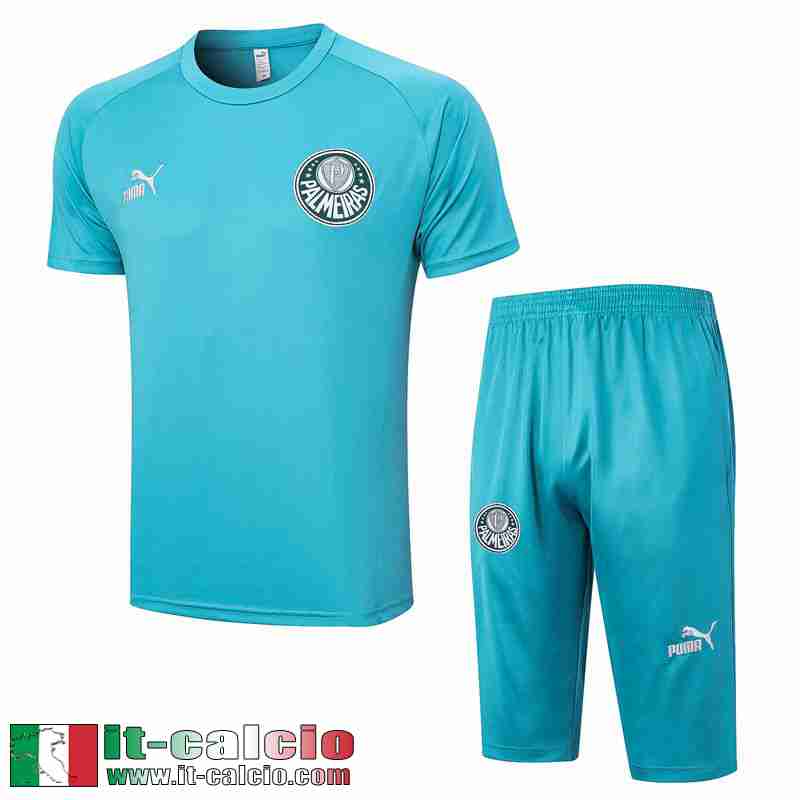 Palmeiras Polo Shirts cielo blu Uomo 2023 2024 PL684